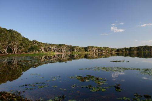 Lake Ainsworth